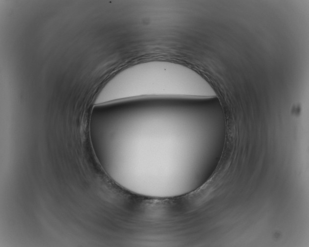 X0000091450082200708161056
