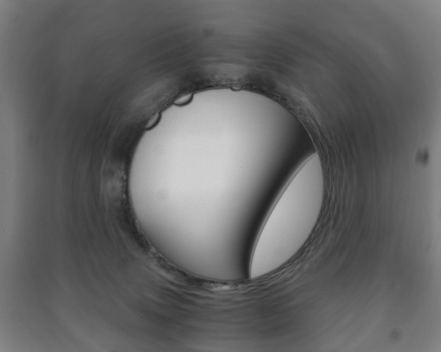 X0000091450083200708161056