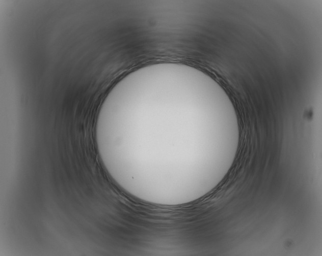 X0000091450084200708161056