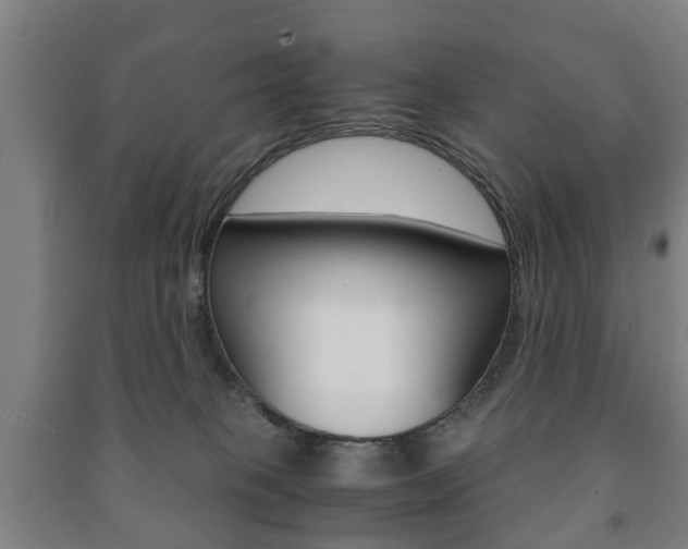 X0000091450085200708161056