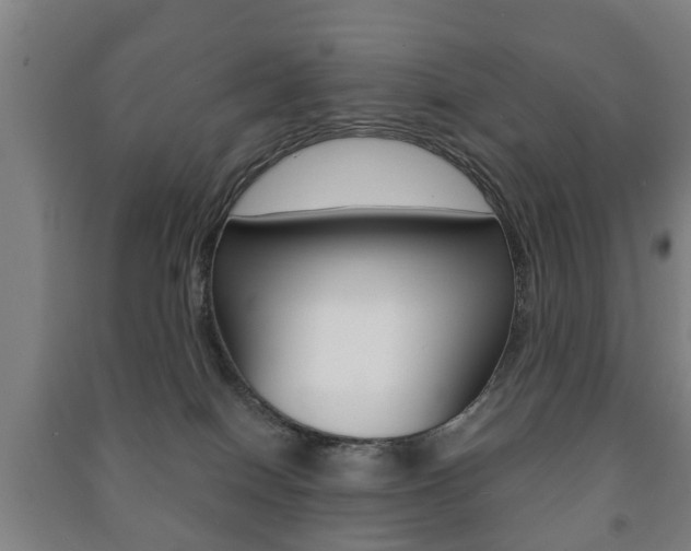X0000091450086200708161056