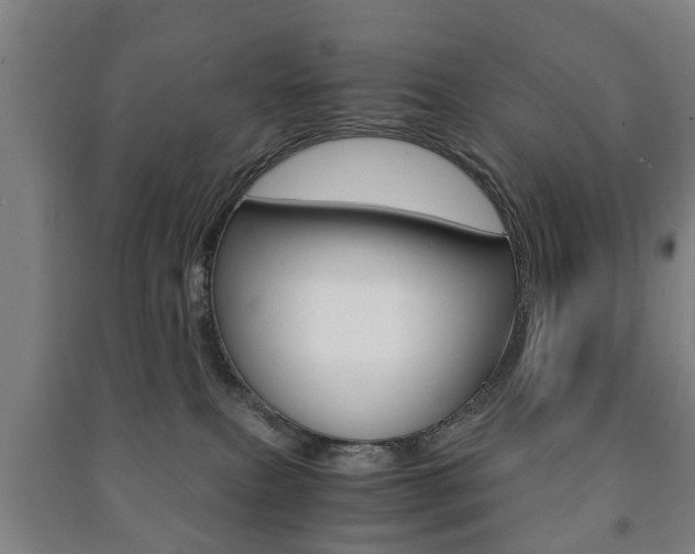 X0000091450087200708161056