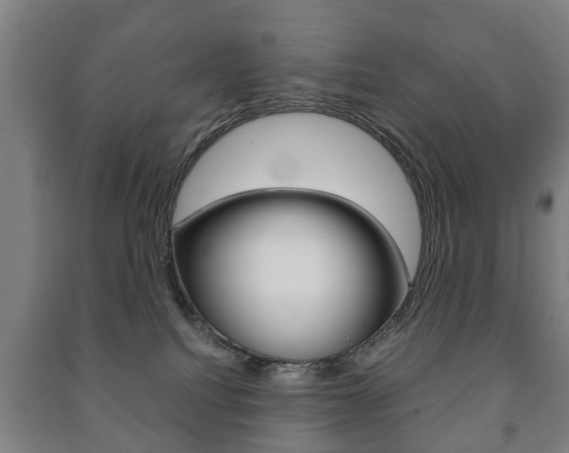 X0000091450088200708161056