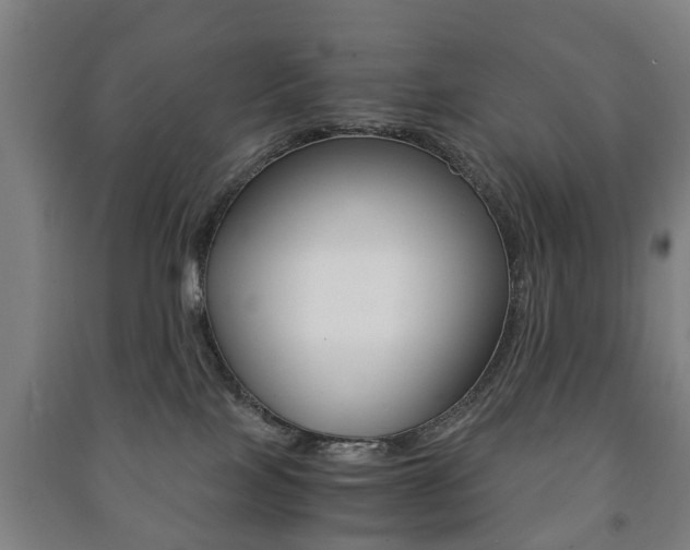 X0000091450089200708161056