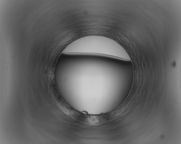 X0000091450091200708161056