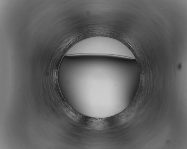 X0000091450093200708161056