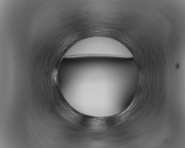 X0000091450094200708161056