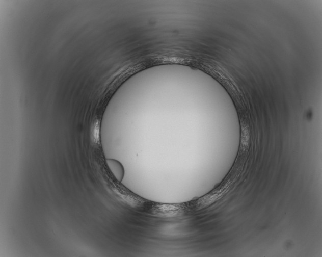 X0000091450095200708161056