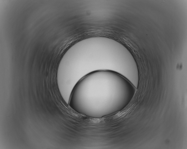 X0000091450096200708161056