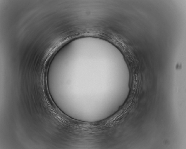 X0000091450098200708161055