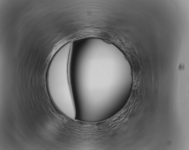 X0000091450099200708161055
