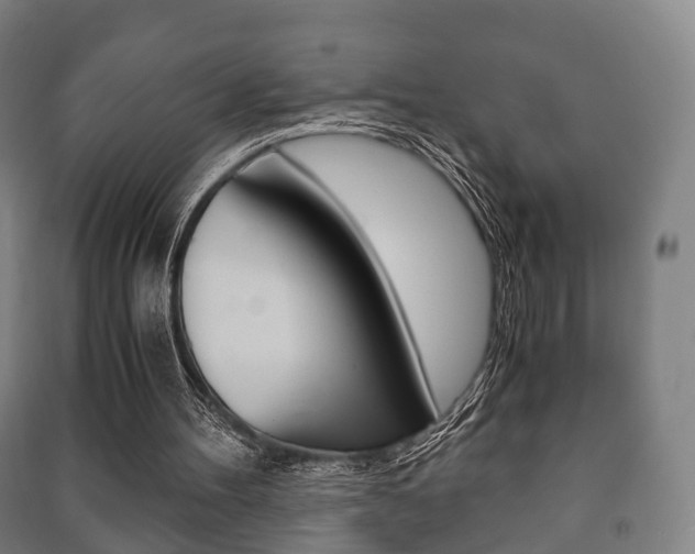X0000091450100200708161055