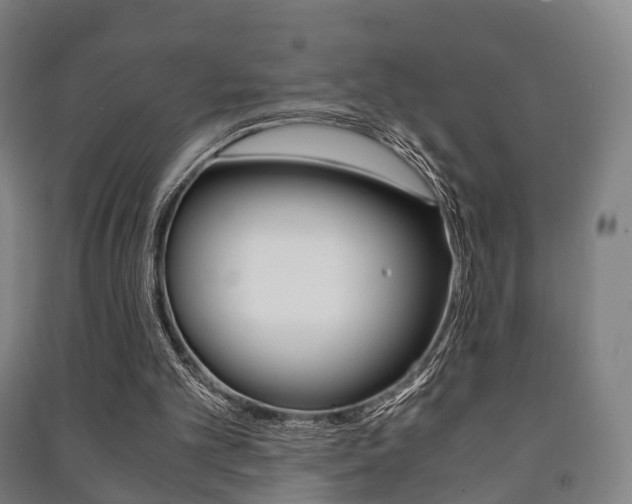 X0000091450101200708161055