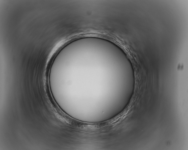 X0000091450102200708161055