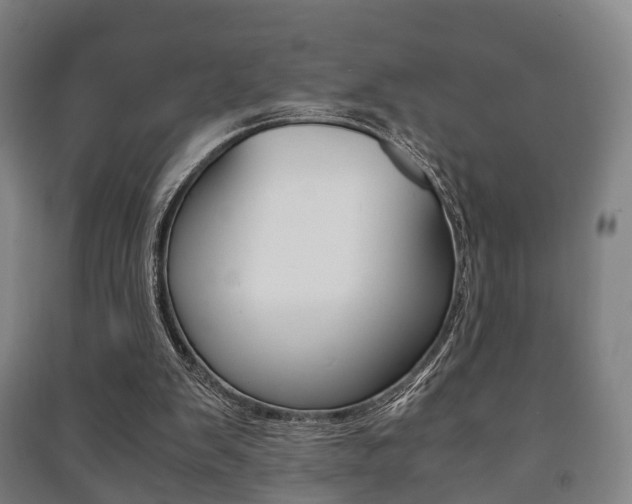 X0000091450103200708161055