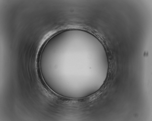 X0000091450104200708161055