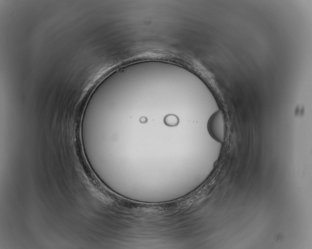 X0000091450106200708161055