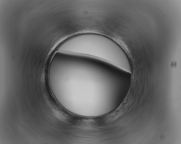 X0000091450108200708161055