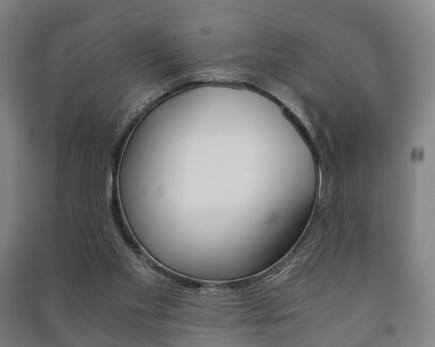X0000091450109200708161055