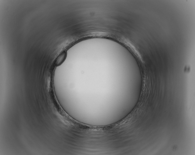 X0000091450110200708161055