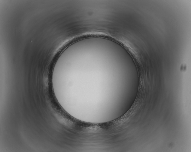 X0000091450112200708161055