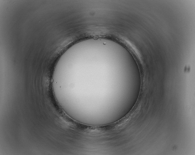 X0000091450113200708161055