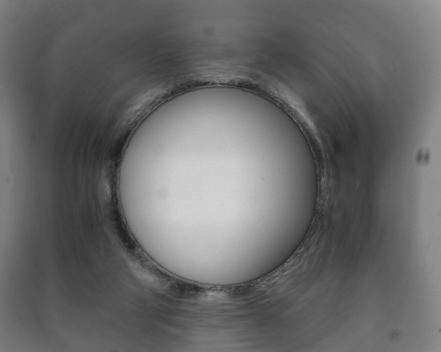 X0000091450114200708161055
