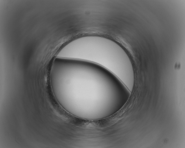 X0000091450115200708161055