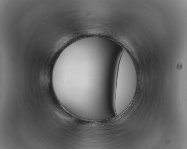 X0000091450116200708161055