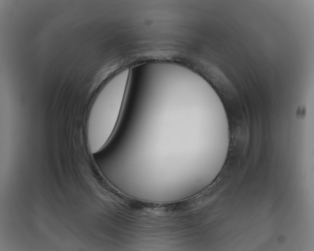 X0000091450120200708161055