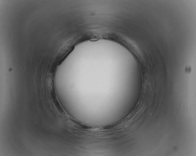X0000091450121200708161055