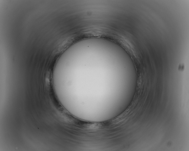 X0000091450122200708161055