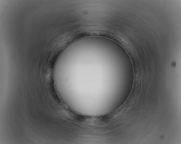 X0000091450125200708161055