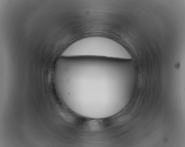 X0000091450126200708161055