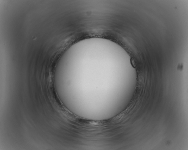 X0000091450130200708161055