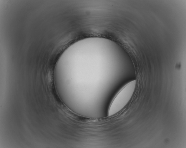 X0000091450131200708161055