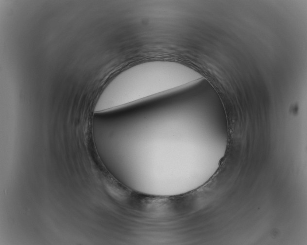 X0000091450132200708161055
