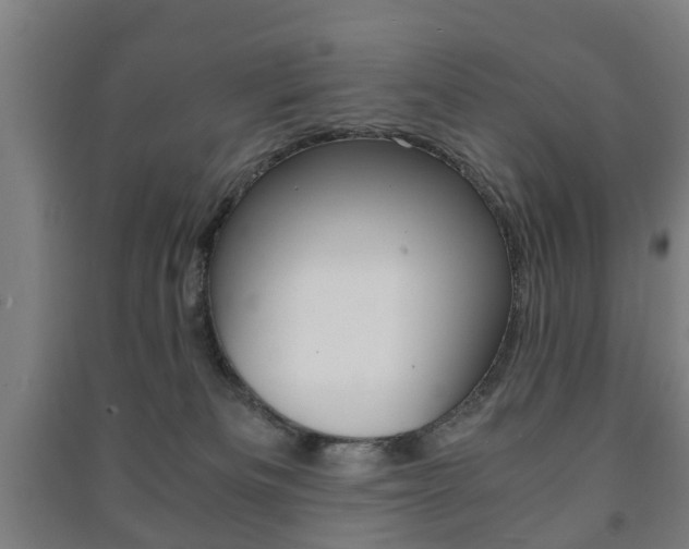 X0000091450133200708161055