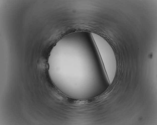 X0000091450135200708161055