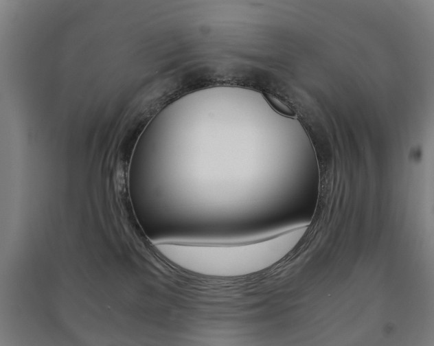 X0000091450137200708161054
