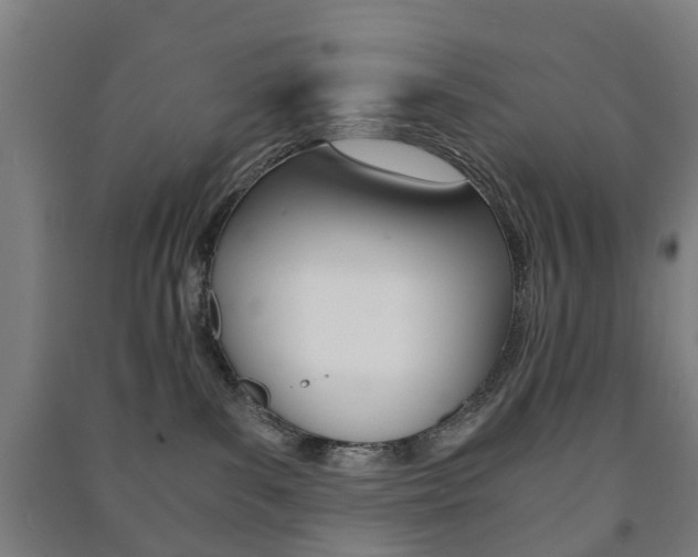 X0000091450139200708161054