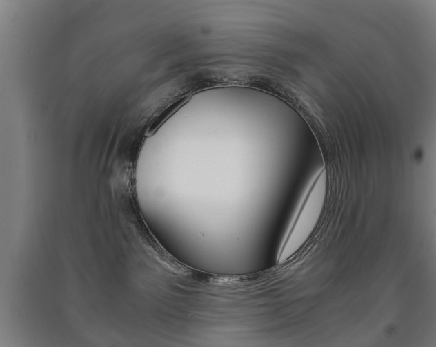 X0000091450141200708161054