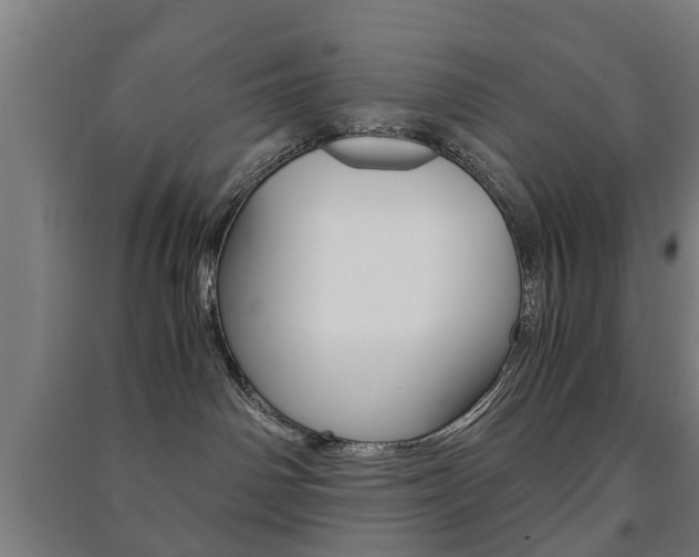 X0000091450142200708161054