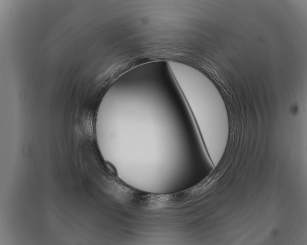 X0000091450143200708161054