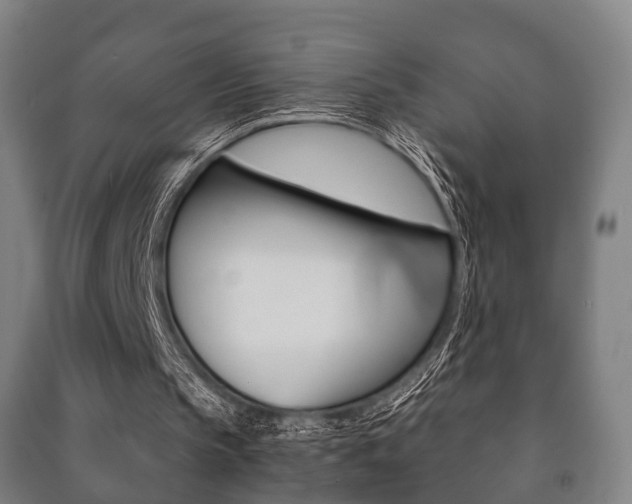 X0000091450145200708161054