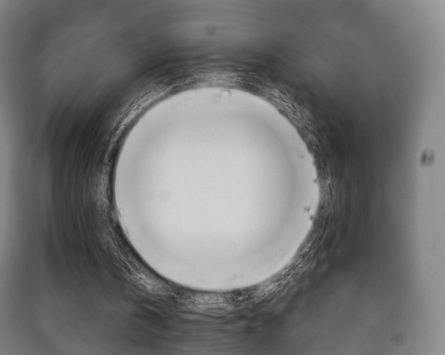 X0000091450146200708161054