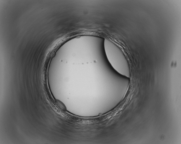 X0000091450149200708161054