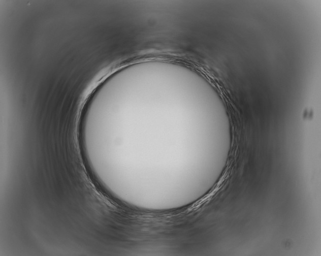 X0000091450150200708161054