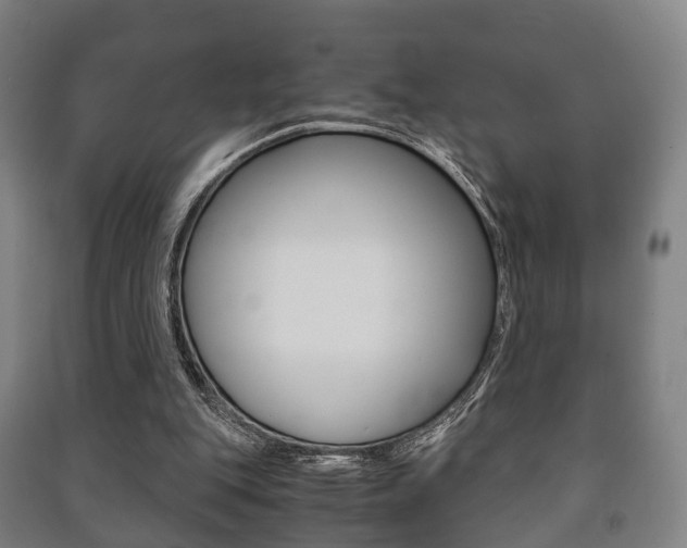 X0000091450151200708161054