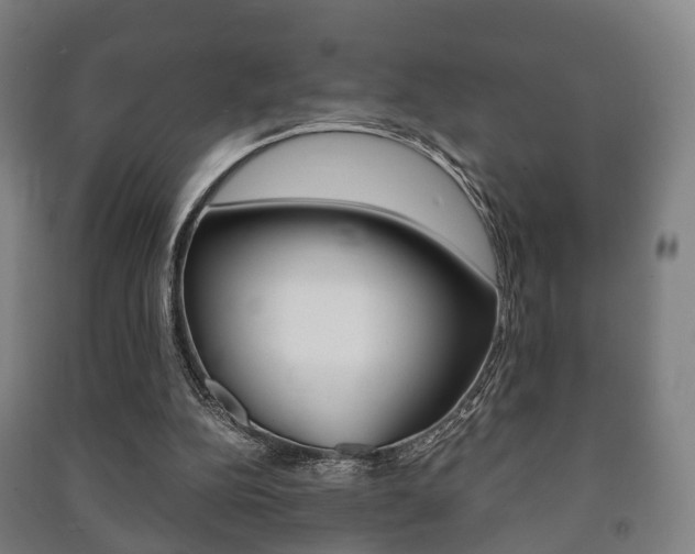 X0000091450152200708161054